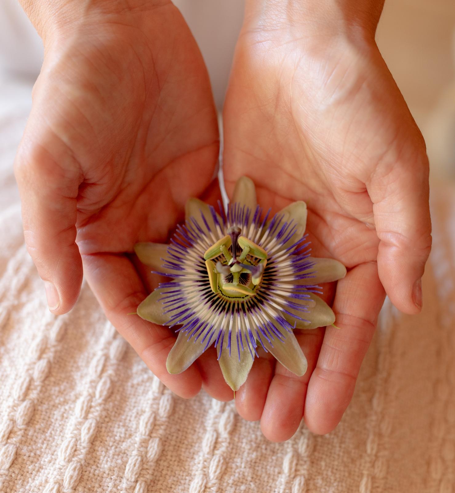 Close up of candle with soft focus background.